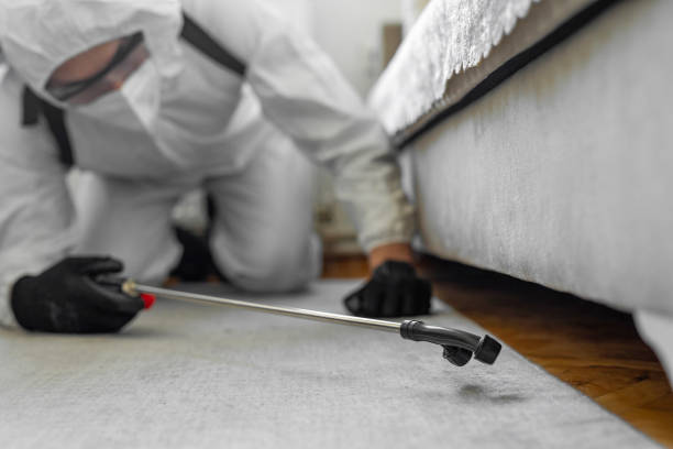 Professional Bed Bug Control technician working in Tracy, CA