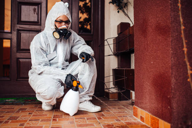 Reliable Bed Bug Control contractor in Tracy, CA by Nex Pest Control